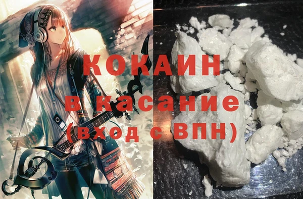 гидра Арсеньев