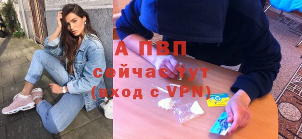 гидра Арсеньев