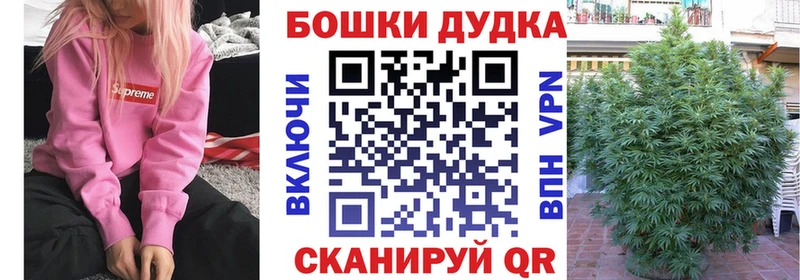Шишки марихуана план  где продают   Пущино 